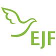 EJF gemeinnützige AG logo